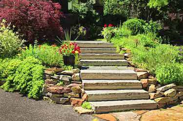 Stone staircase in backyard garden