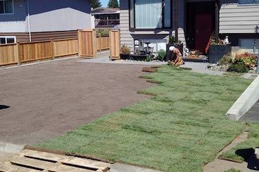 Hardscape professional installs new lawn