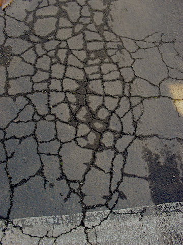 Asphalt Aligator Cracks